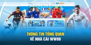 Tổng quan về nhà cái W88 boutique